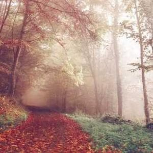 LaunderGo office life 3